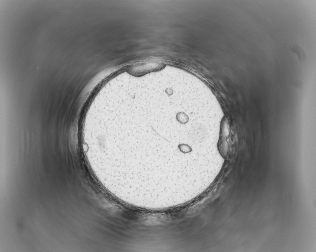 X0000111250200200908131214