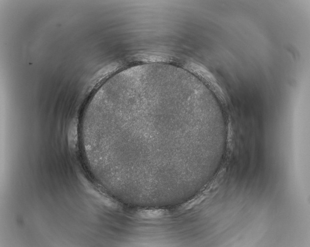 X0000111250202200908131214