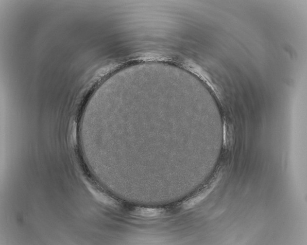 X0000111250205200908131214