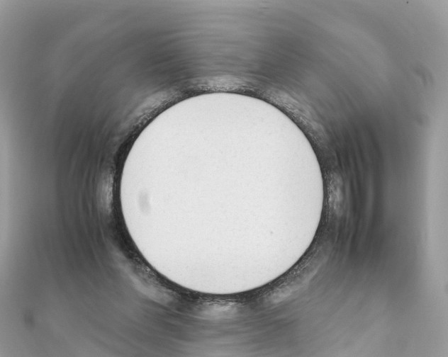 X0000111250206200908131214