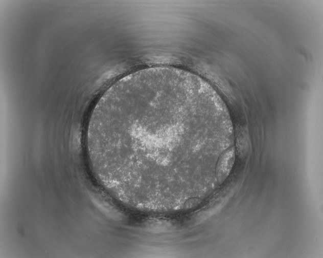 X0000111250207200908131214