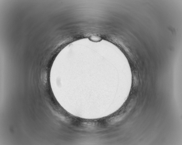 X0000111250211200908131214