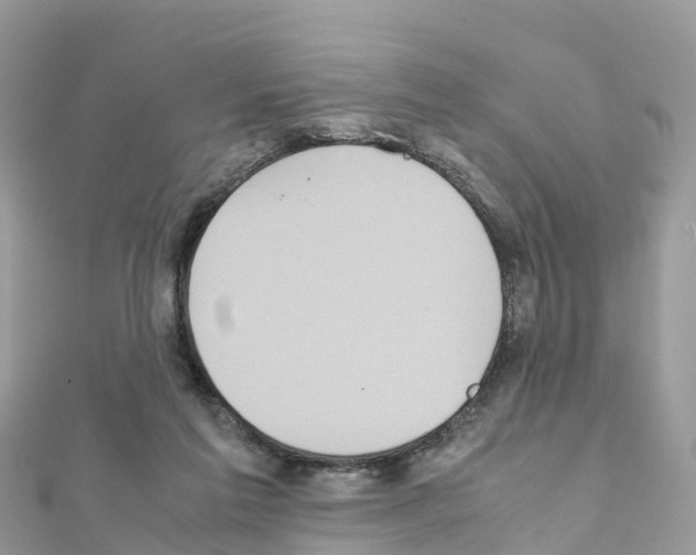 X0000111250213200908131214