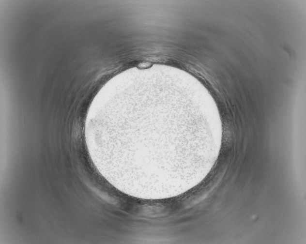 X0000111250215200908131214