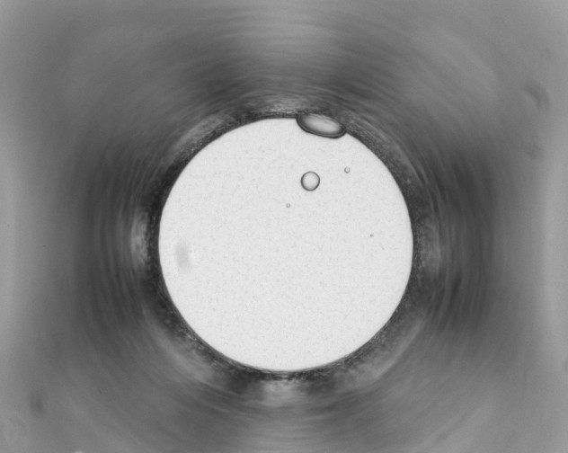 X0000111250216200908131214