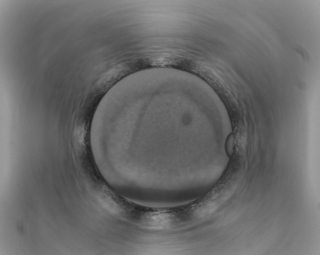 X0000111250219200908131214