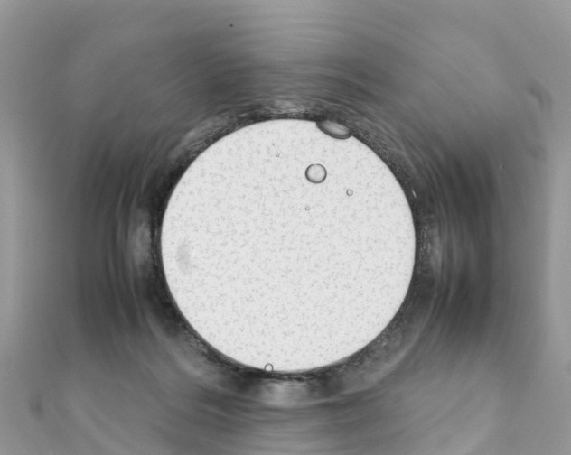 X0000111250220200908131214