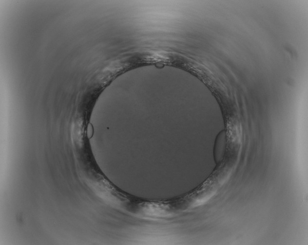 X0000111250223200908131214