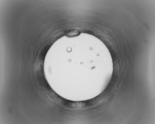 X0000111250225200908131214