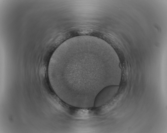 X0000111250227200908131214