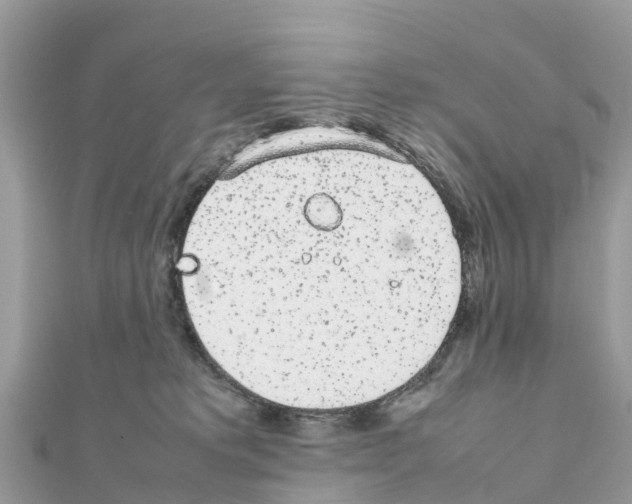 X0000111250229200908131214