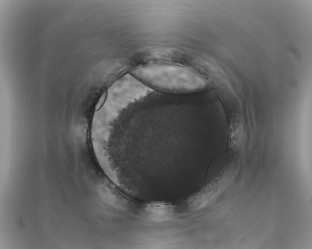 X0000111250231200908131214