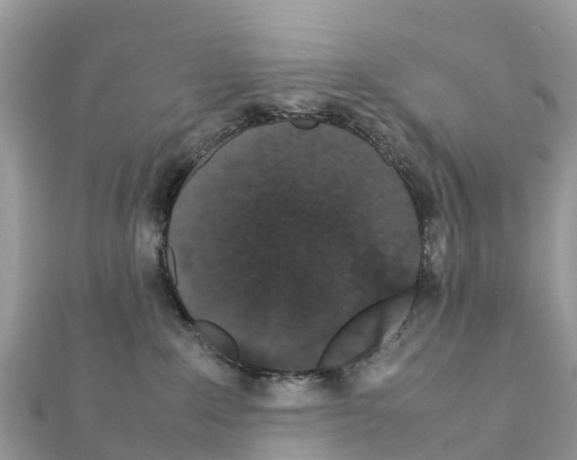 X0000111250235200908131214