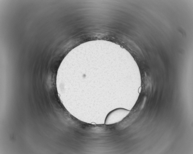 X0000111250236200908131214