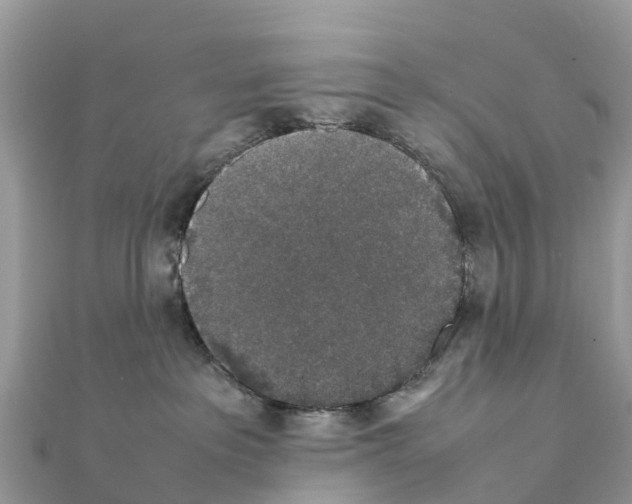 X0000111250237200908131214