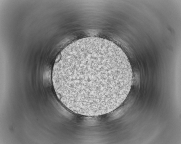 X0000111250238200908131214