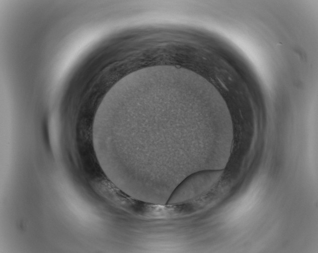 X0000111250239200908131214