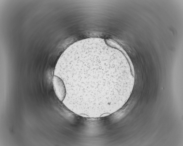 X0000111250240200908131214