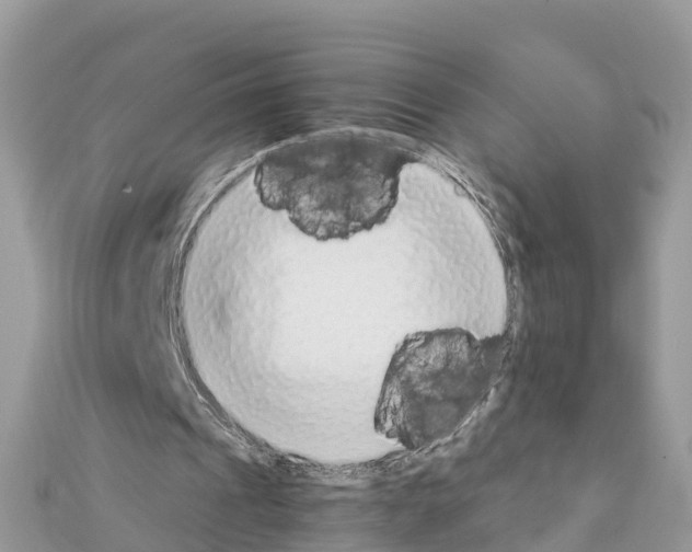 X0000111250241200908131213