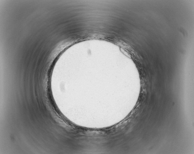 X0000111250242200908131213