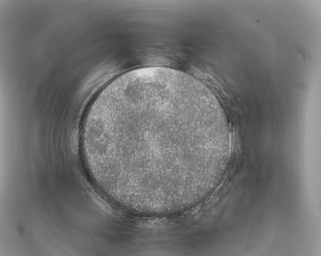 X0000111250243200908131213