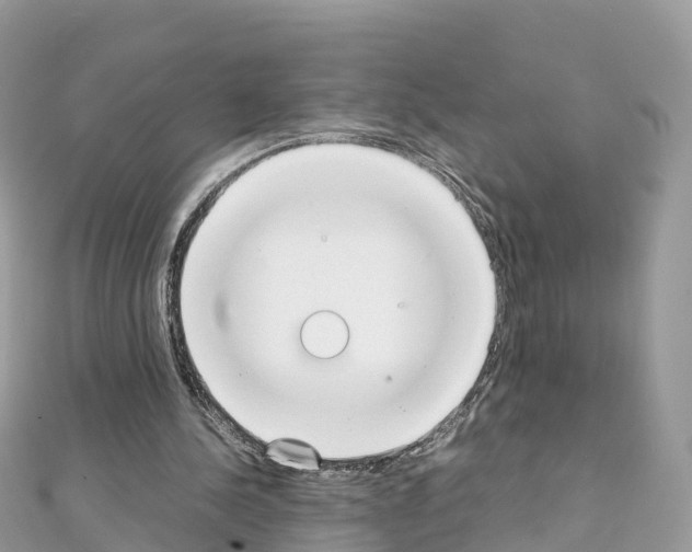 X0000111250244200908131213