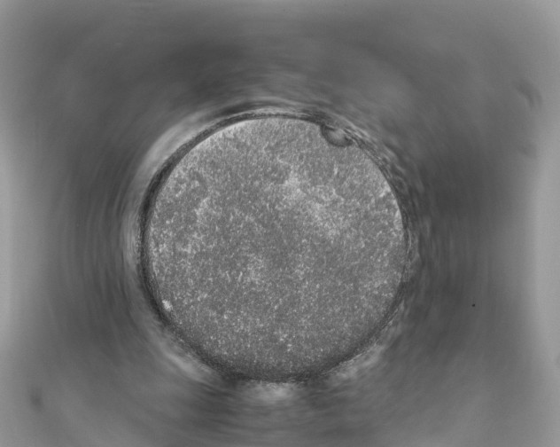 X0000111250247200908131213