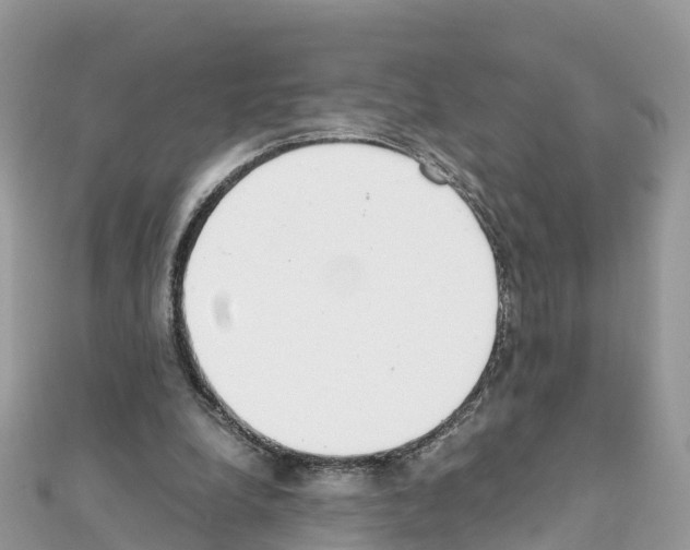 X0000111250248200908131213