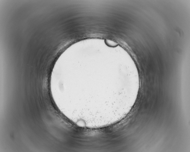 X0000111250249200908131213