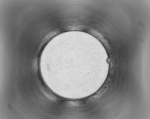 X0000111250250200908131213