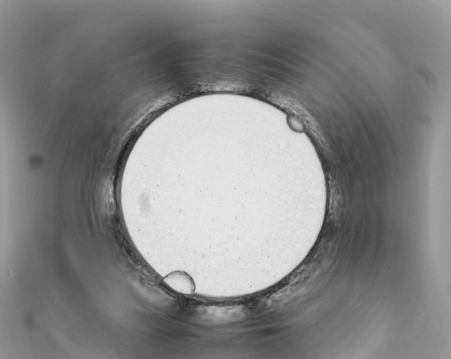 X0000111250251200908131213