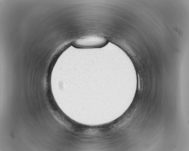 X0000111250252200908131213