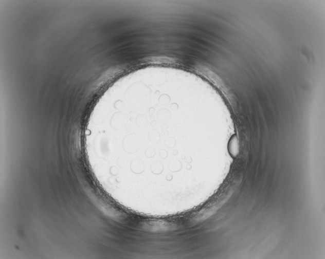 X0000111250253200908131213