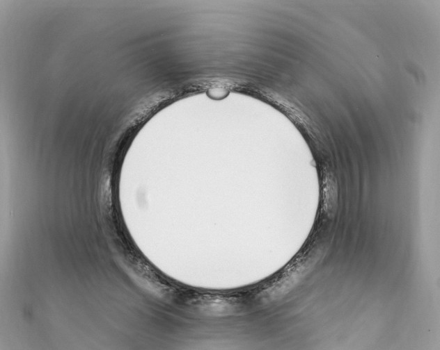 X0000111250254200908131213