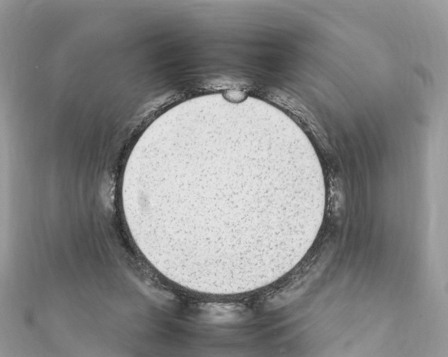 X0000111250255200908131213