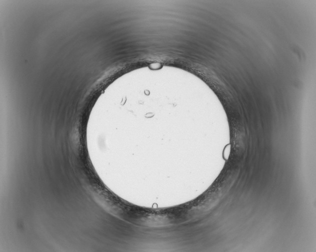 X0000111250256200908131213