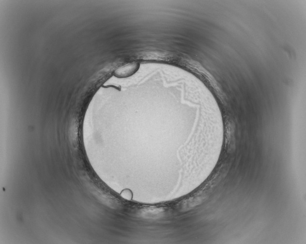 X0000111250257200908131213