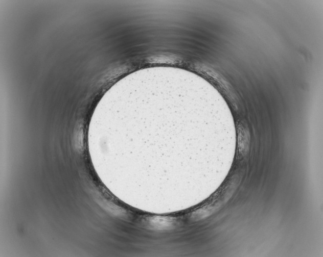 X0000111250261200908131213