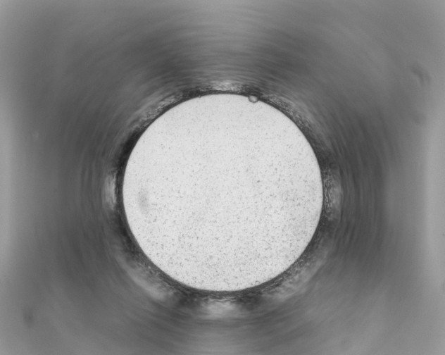 X0000111250262200908131213