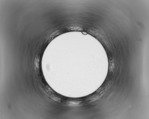 X0000111250263200908131213