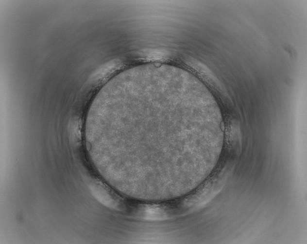 X0000111250264200908131213