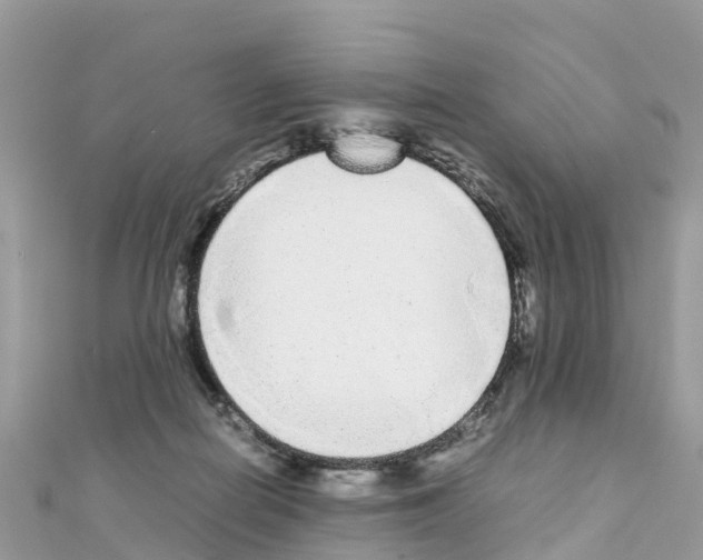 X0000111250266200908131213