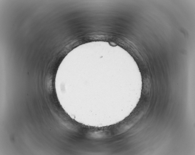 X0000111250267200908131213