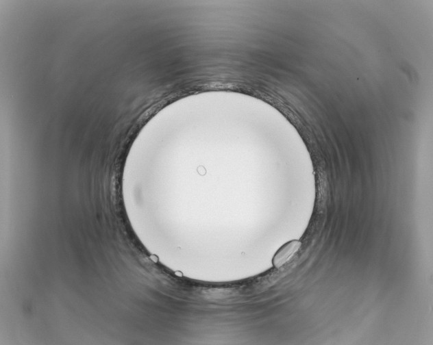 X0000111250268200908131213