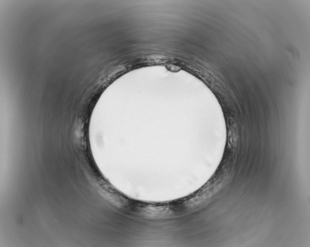 X0000111250270200908131213