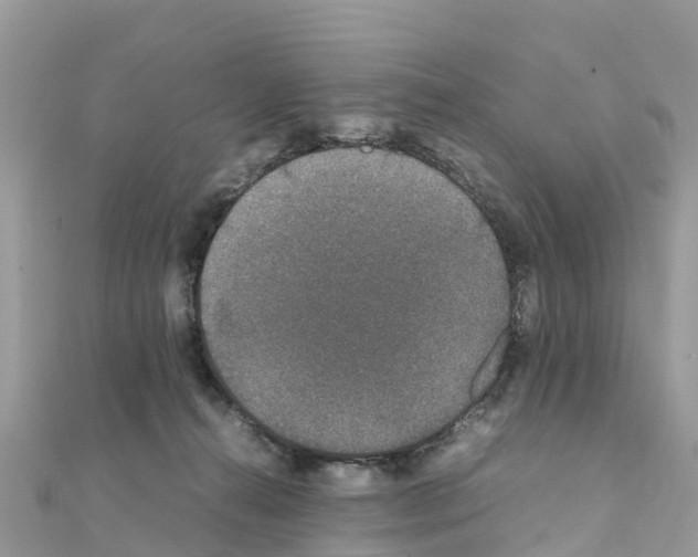 X0000111250272200908131213