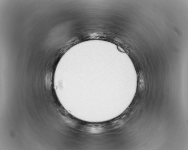 X0000111250275200908131213