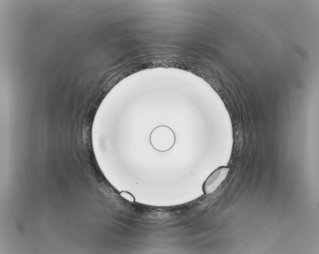 X0000111250276200908131213