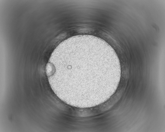 X0000111250277200908131213