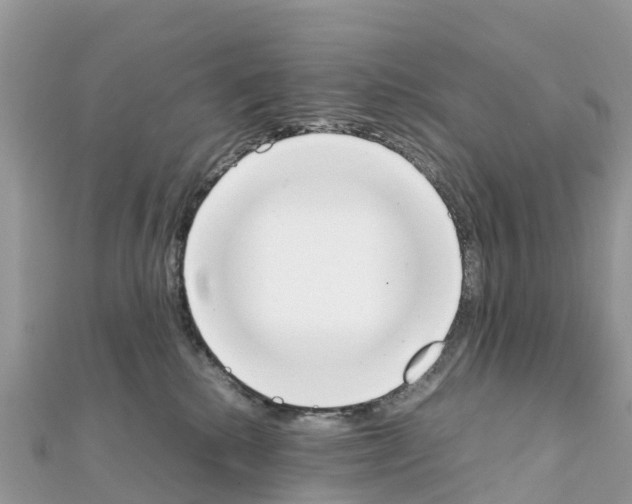 X0000111250280200908131213